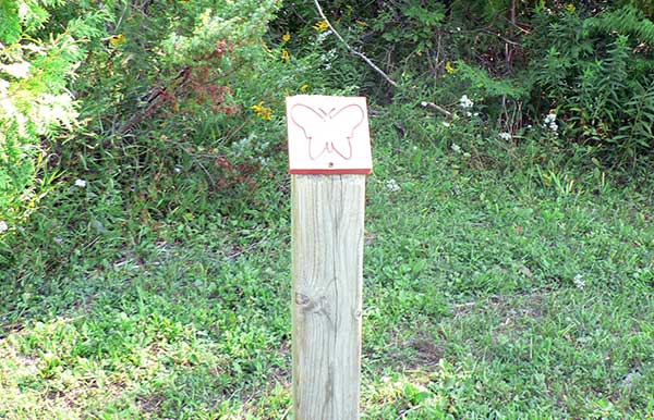 Butterfly Marker on the Trail